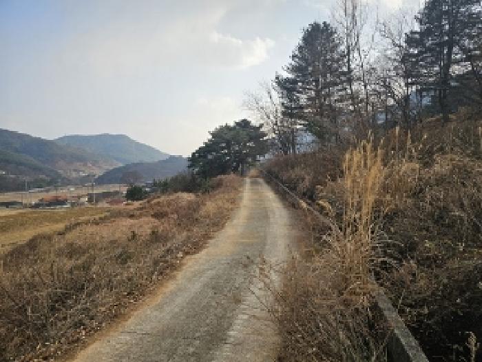 경남 산청군 단성면 임야 경매 물건 사진