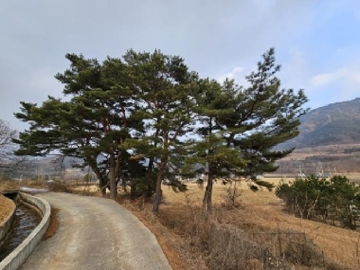 경남 산청군 단성면 임야 경매 물건 사진 2 · 2024타경6693