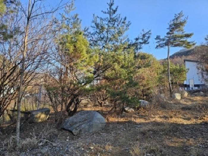 경남 산청군 시천면 답 경매 물건 사진 3 · 2024타경6839