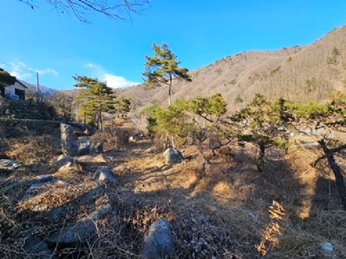 경남 산청군 시천면 답 경매 물건 사진 6 · 2024타경6839