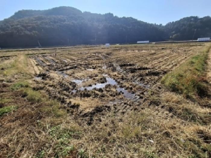 경남 남해군 서면 전답 경매 물건 사진 2 · 2025타경1002