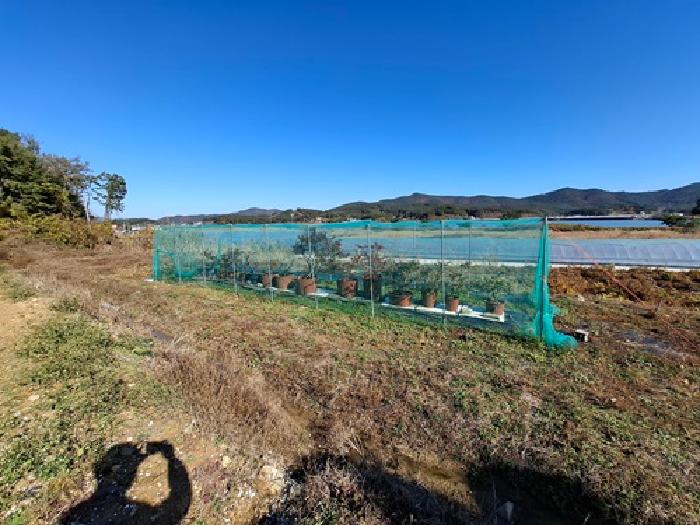경남 남해군 창선면 답 경매 물건 사진