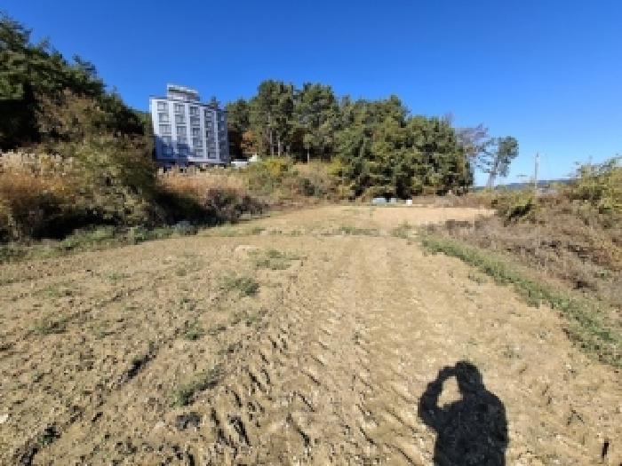 경남 남해군 창선면 답 경매 물건 사진 4 · 2025타경1016