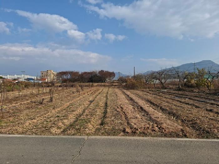 경남 사천시 사남면 전답 경매 물건 사진 3 · 2025타경1028