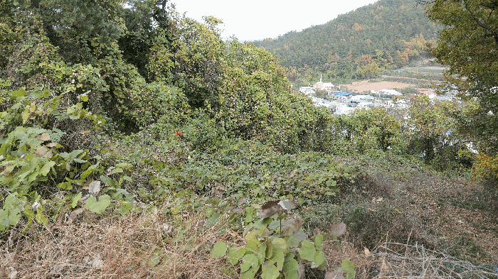 경남 남해군 남면 전 경매 물건 사진 5 · 2025타경1043