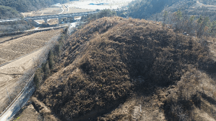 경남 하동군 진교면 임야 경매 물건 사진 3 · 2025타경1065