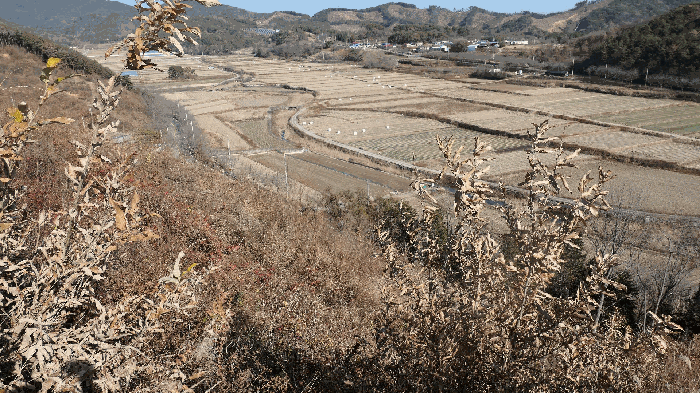 경남 하동군 진교면 임야 경매 물건 사진 4 · 2025타경1065