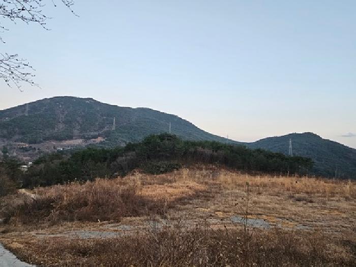 경남 산청군 단성면 잡종지 경매 물건 사진 2 · 2025타경1068