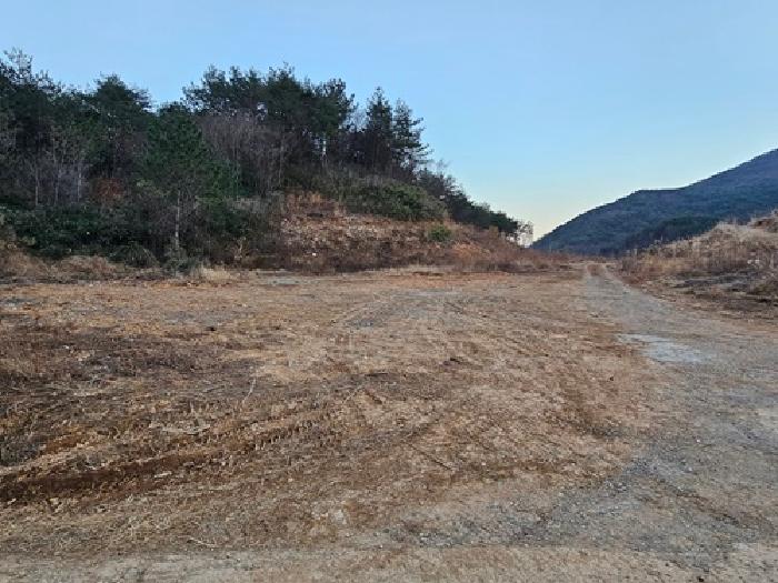 경남 산청군 단성면 잡종지 경매 물건 사진 3 · 2025타경1068