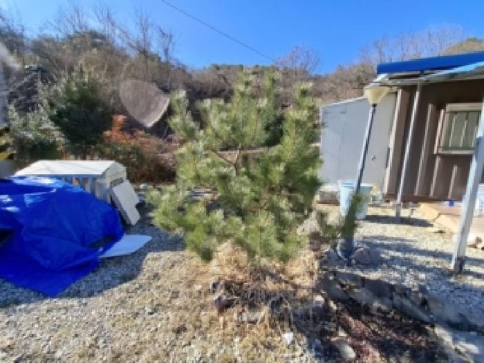 경남 진주시 대곡면 답 경매 물건 사진 6 · 2025타경1081
