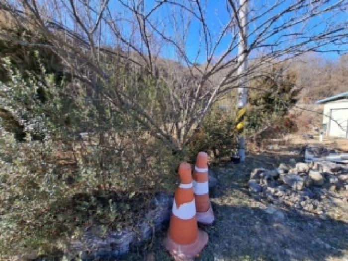 경남 진주시 대곡면 답 경매 물건 사진