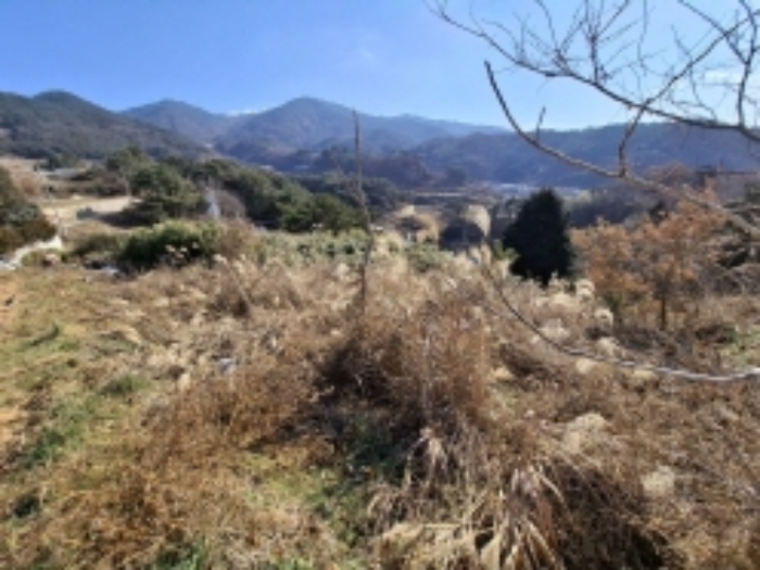 경남 남해군 서면 전 경매 물건 사진 2 · 2025타경128