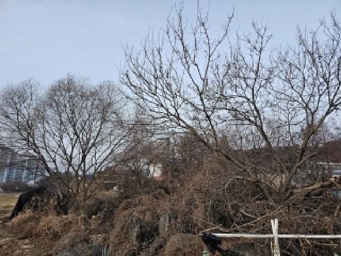 경남 진주시 문산읍 답 경매 물건 사진 2 · 2025타경30044