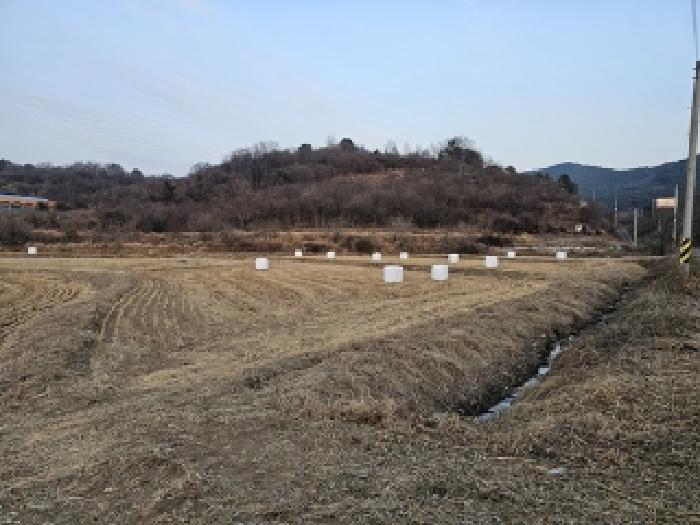 경남 진주시 문산읍 답 경매 물건 사진 6 · 2025타경30044