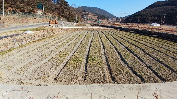 경남 남해군 서면 답 경매 물건 사진 4 · 2025타경30242