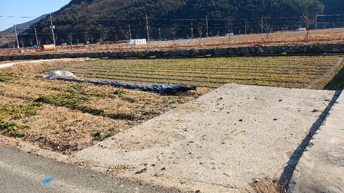 경남 남해군 서면 답 경매 물건 사진 5 · 2025타경30242