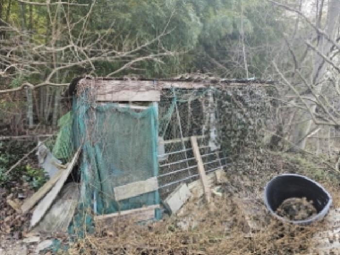 경남 하동군 금남면 임야 경매 물건 사진 5 · 2025타경30341