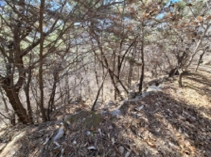 경남 사천시 죽림동 임야 경매 물건 사진 6 · 2025타경30518