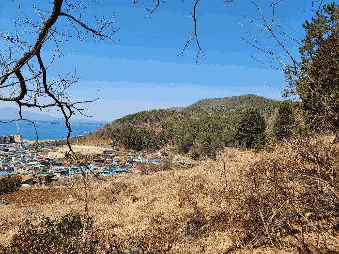 경남 사천시 실안동 임야 경매 물건 사진 6 · 2025타경30604