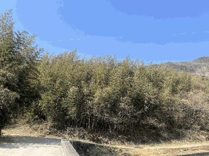 경남 하동군 악양면 임야 경매 물건 사진 5 · 2025타경30614