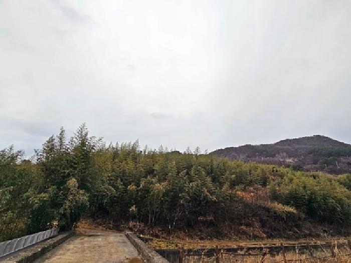 경남 하동군 악양면 임야 경매 물건 사진