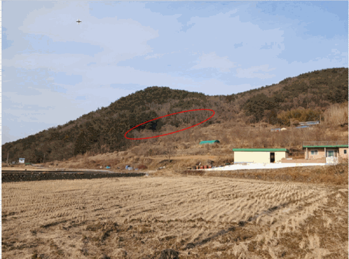 경남 남해군 삼동면 임야 경매 물건 사진 6 · 2025타경30618