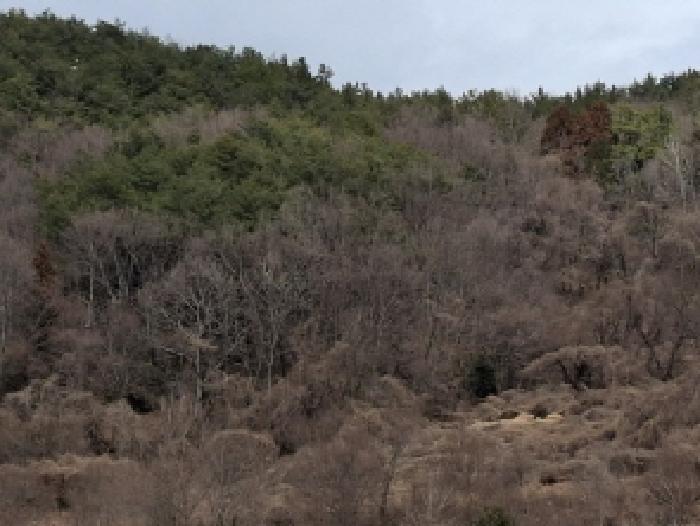 경남 남해군 삼동면 임야 경매 물건 사진 3 · 2025타경30618