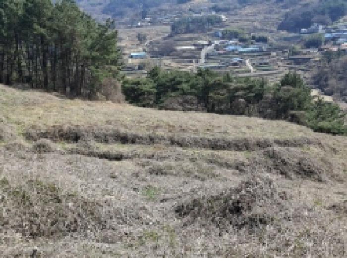 경남 남해군 서면 전 경매 물건 사진