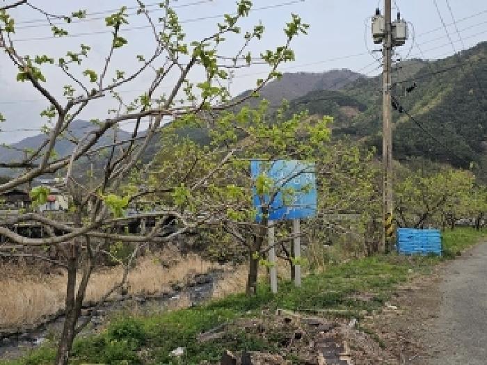 경남 산청군 삼장면 도로 경매 물건 사진 4 · 2025타경30676