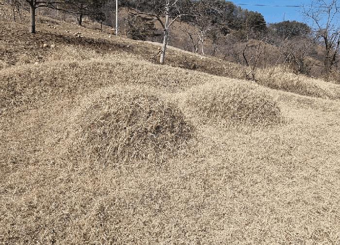 경남 산청군 삼장면 단독주택 경매 물건 사진