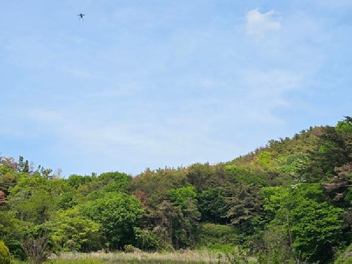 경남 진주시 금곡면 임야 경매 물건 사진
