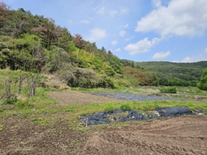 경남 진주시 금곡면 임야 경매 물건 사진 2 · 2025타경30703