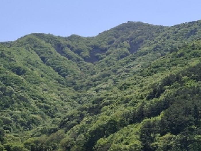 경남 사천시 사남면 임야 경매 물건 사진