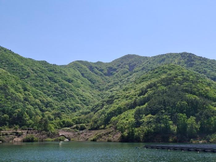 경남 사천시 사남면 임야 경매 물건 사진 2 · 2025타경30709
