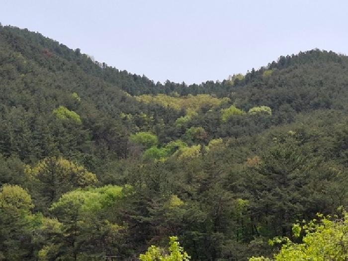 경남 사천시 사천읍 임야 경매 물건 사진