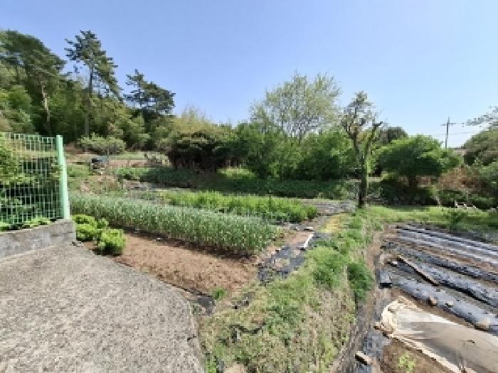 경남 사천시 용현면 대지 경매 물건 사진 6 · 2025타경30767