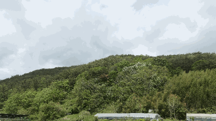 경남 진주시 집현면 임야 경매 물건 사진 5 · 2025타경30780