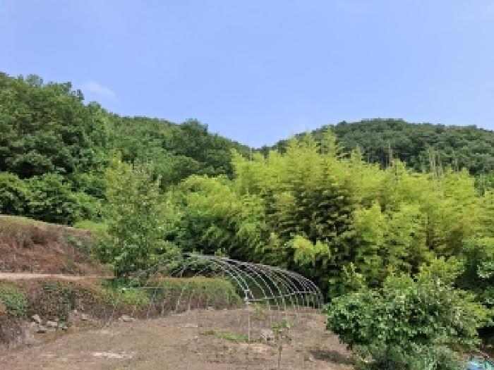 경남 사천시 곤양면 단독주택 경매 물건 사진 6 · 2025타경30823
