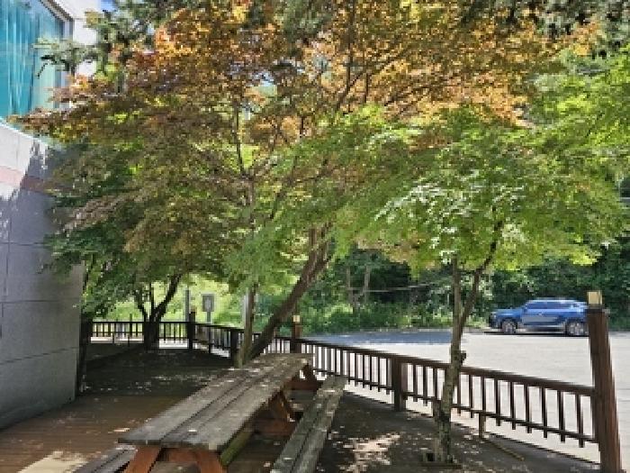 경남 산청군 시천면 주상복합 경매 물건 사진 3 · 2025타경30838