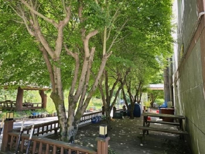 경남 산청군 시천면 주상복합 경매 물건 사진 4 · 2025타경30838