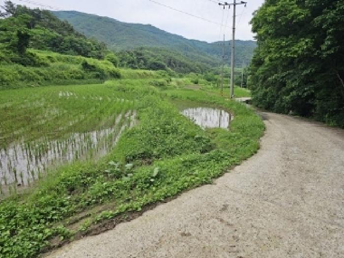 경남 산청군 차황면 답 경매 물건 사진