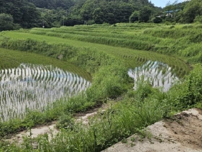 경남 산청군 차황면 답 경매 물건 사진 2 · 2025타경30856