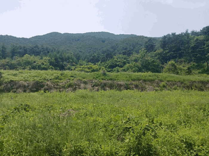 경남 산청군 산청읍 임야 경매 물건 사진 4 · 2025타경30859