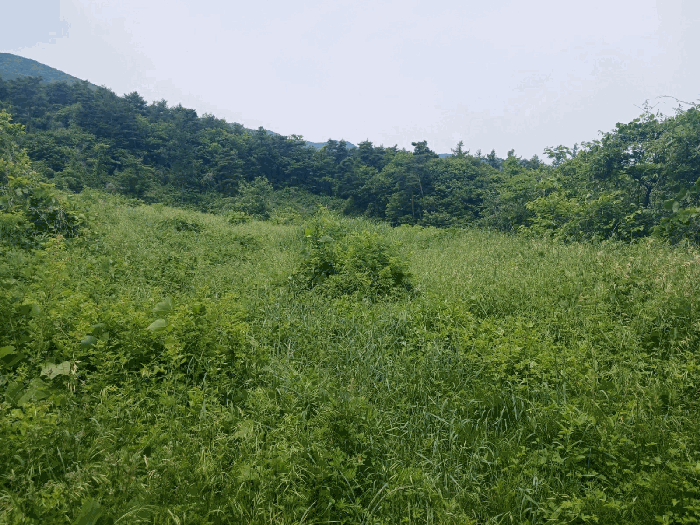 경남 산청군 산청읍 임야 경매 물건 사진 6 · 2025타경30859