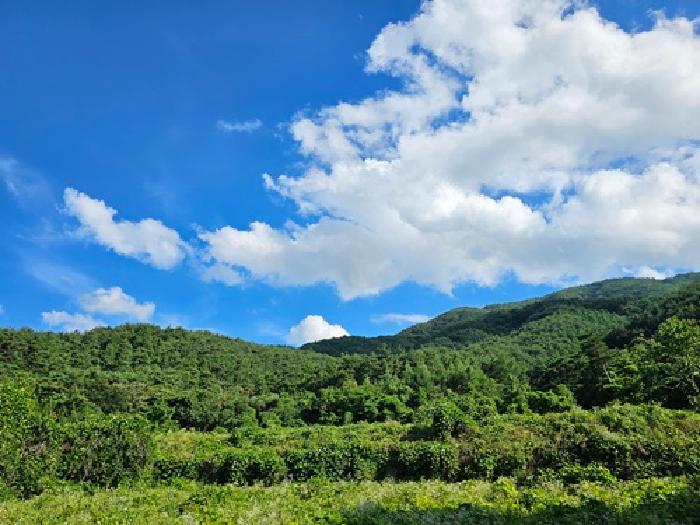경남 산청군 산청읍 임야 경매 물건 사진
