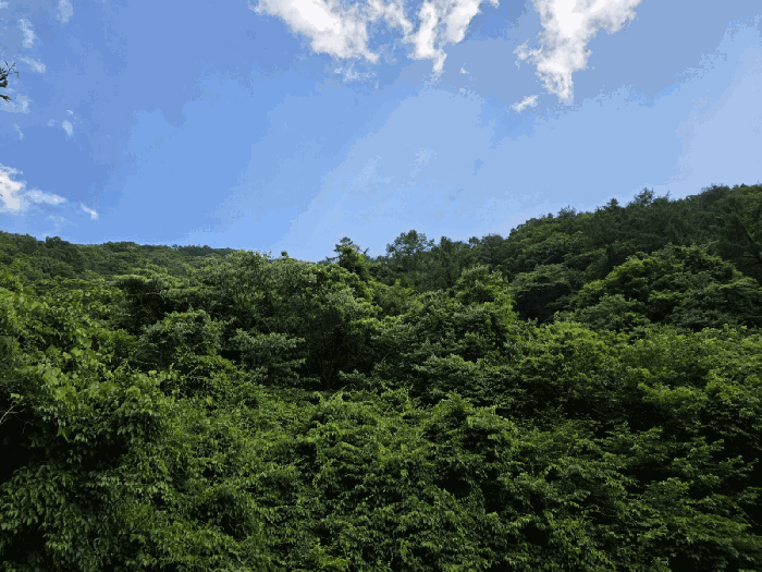 경남 하동군 화개면 임야 경매 물건 사진 5 · 2025타경30865