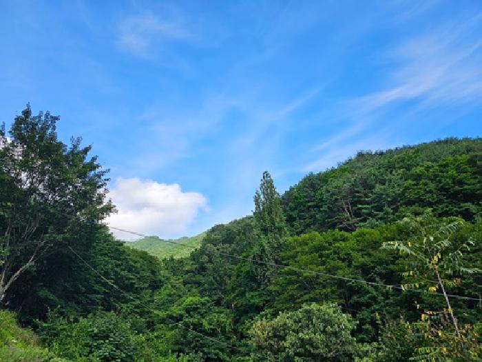 경남 하동군 화개면 임야 경매 물건 사진