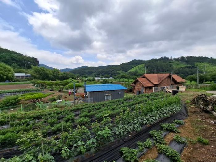 경남 진주시 정촌면 답 경매 물건 사진 3 · 2025타경30874