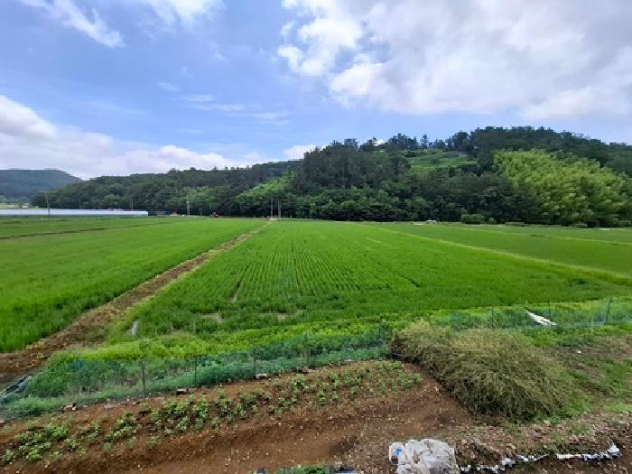 경남 진주시 정촌면 답 경매 물건 사진 6 · 2025타경30874