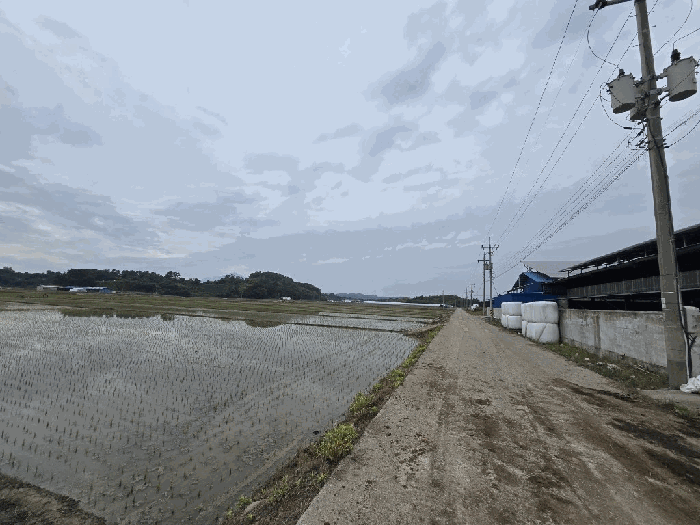 경남 사천시 서포면 답 경매 물건 사진 4 · 2025타경30879